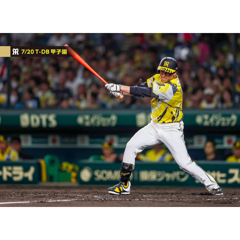 ブロマイド 7/20 T-DB No.3 21大竹 - 阪神タイガース公式オンライン
