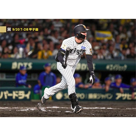 ブロマイド 9/20 T-DB No.4 00元山 - 阪神タイガース公式オンライン