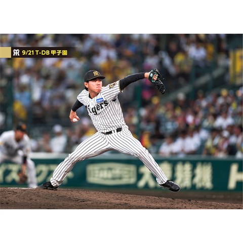 ブロマイド 9/21 T-DB No.2 49工藤 - 阪神タイガース公式オンライン