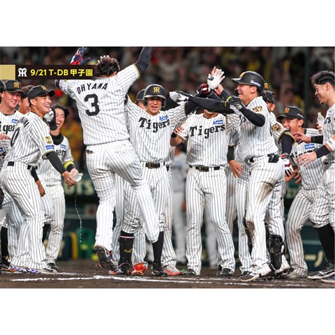 ブロマイド 9/21 T-DB No.4 0木浪、3大山、62植田、00元山 - 阪神