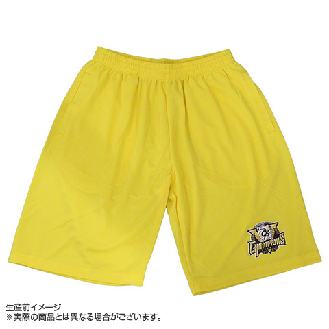 阪神タイガース ハーフパンツ 支給品 MIZUNO 阪神タイガース グッズ ショートパンツ レプリカハーフ