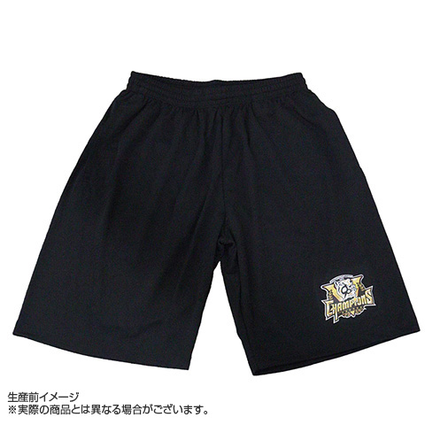 阪神タイガース ハーフパンツ 支給品 B_受注】【T-SHOP限定】2025 JERA セ・リーグ優勝記念 ドライハーフ