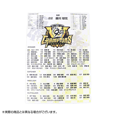 B_受注】【T-SHOP限定】2025 JERA セ・リーグ優勝記念 ファブリック