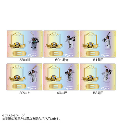 B_受注】【T-SHOP限定】2025 JERA セ・リーグ優勝記念 オーロラ