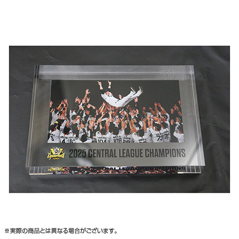 記念グッズ H 阪神タイガース 2025 JERA セ・リーグ優勝記念 