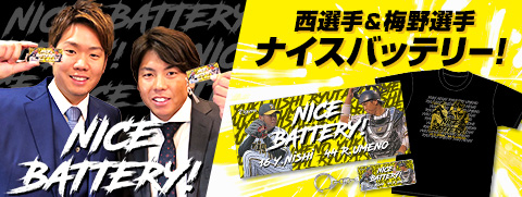 ナイスバッテリー