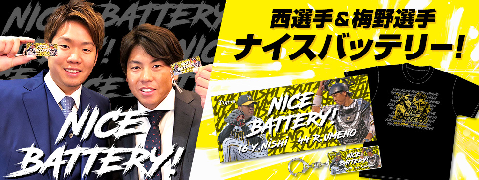 ナイスバッテリー