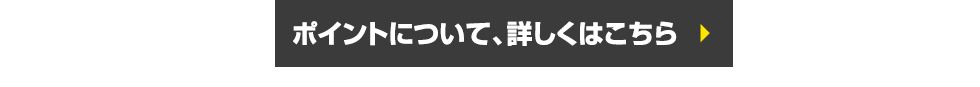ポイントについて、詳しくはこちら