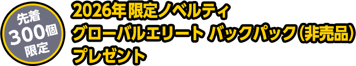 ノベルティプレゼント