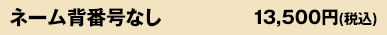 ネーム背番号なし13,500円(税込)