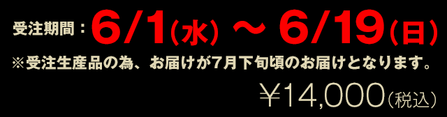 あなたが選ぶベストナイン！がビッゲストタオルになる - 阪神