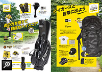 特集】2017 グッズカタログ2017 - 阪神タイガース公式オンライン