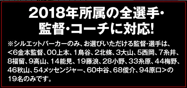 レア】阪神タイガース ユニフォーム カンフーバット 応援グッズ