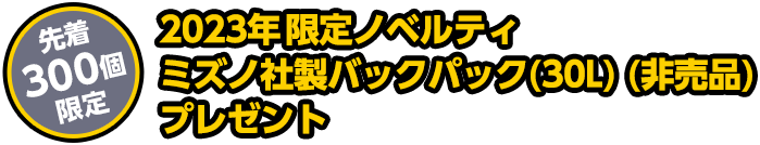 特集】2023 PRO COLLECTION - 阪神タイガース公式オンラインショップ T