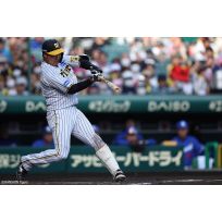 写真（5/3）vs D No.4