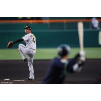 写真（5/9）vs S No.1