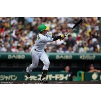 写真（6/4）vs M No.3