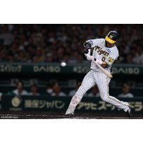 写真（6/14）vs B No.2