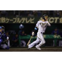 写真（7/11）vs DB No.2