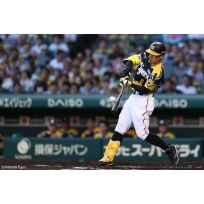 写真（7/25）vs G No.1
