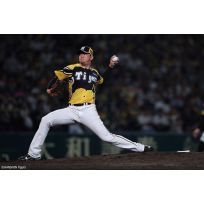 写真（7/25）vs G No.2