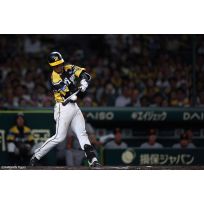 写真（7/26）vs G No.3