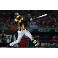 写真（7/28）vs C No.3