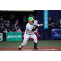 写真（8/12）vs S No.2