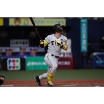 写真（8/23）vs D No.1
