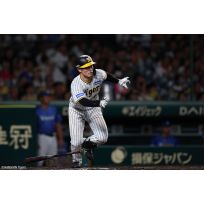 写真（8/29）vs DB No.3