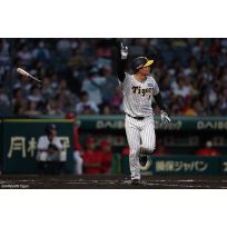 写真（9/8）vs C No.2