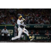 写真（9/14）vs G No.1