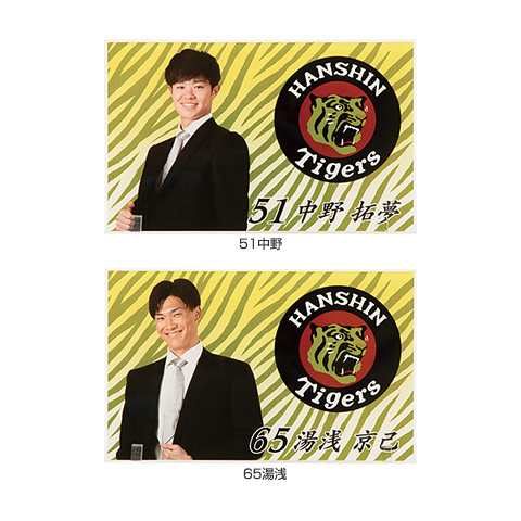 【レア】阪神タイガース　プレミアムプラス限定　カトラリーセット　燕三条 レア】阪神タイガース プレミアムプラス限定 カトラリーセット