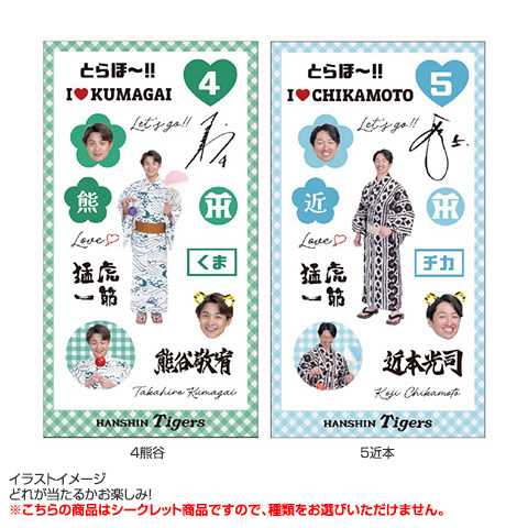 全14種）シークレット浴衣シール入りチケットファイル - 阪神