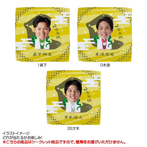 全13種）お正月 シークレットハンドタオル 2025 - 阪神