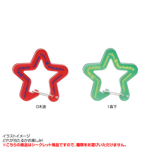 全12種）シークレット アクリルカラビナ - 阪神タイガース公式