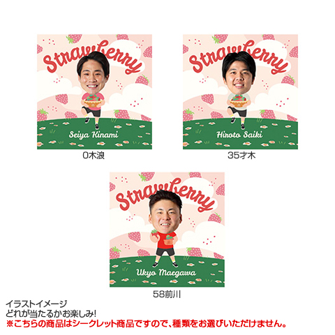 全12種）シークレット選手ミニボールストラップ - 阪神