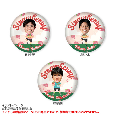 全13種）Strawberry シークレット缶バッジ - 阪神タイガース公式