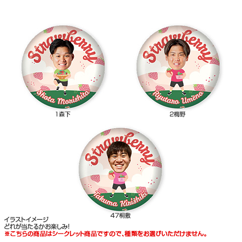 阪神タイガース - 阪神 シークレット缶バッチ ファーム 阪神 シークレット缶バッチ ファーム