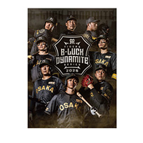 TIGERS B-LUCK DYNAMITE SERIES2025 ミニポスター