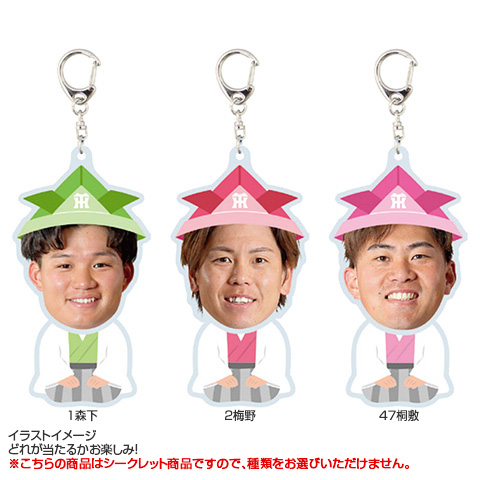 UNITED STONES | 阪神タイガース×マッカノーズ アクリル