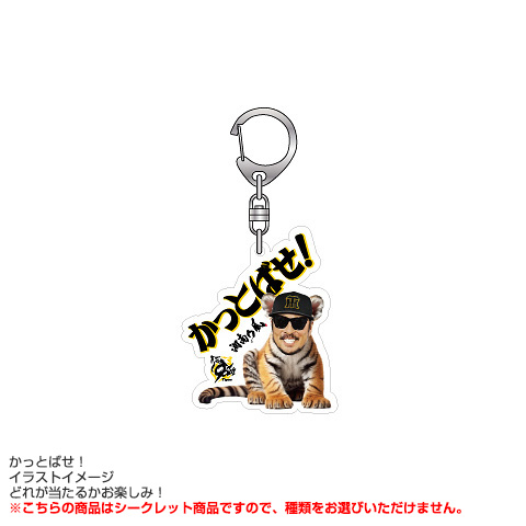 全4種）湘南乃風 コラボシークレットアクリルキーホルダー☆受注