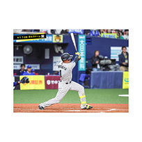 ブロマイド 4/1 T-DB　1森下