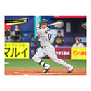 ブロマイド 4/1 T-DB　0木浪