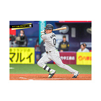 ブロマイド 4/1 T-DB　0木浪