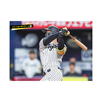ブロマイド 4/2 T-DB　1森下
