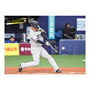 ブロマイド 4/2 T-DB　3大山