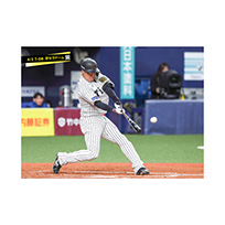 ブロマイド 4/2 T-DB　3大山