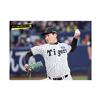 ブロマイド 4/2 T-DB　13岩崎