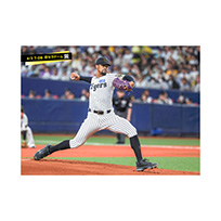ブロマイド 4/3 T-DB　20デュプランティエ